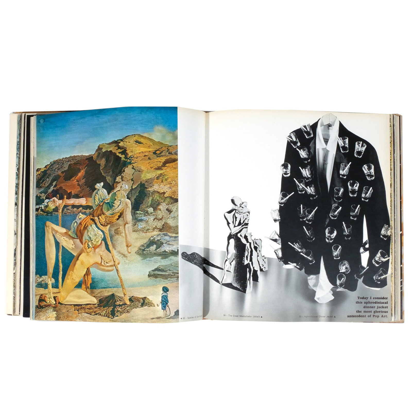 SIGNED & INSCRIBED DALI MONOGRAPH - 11
