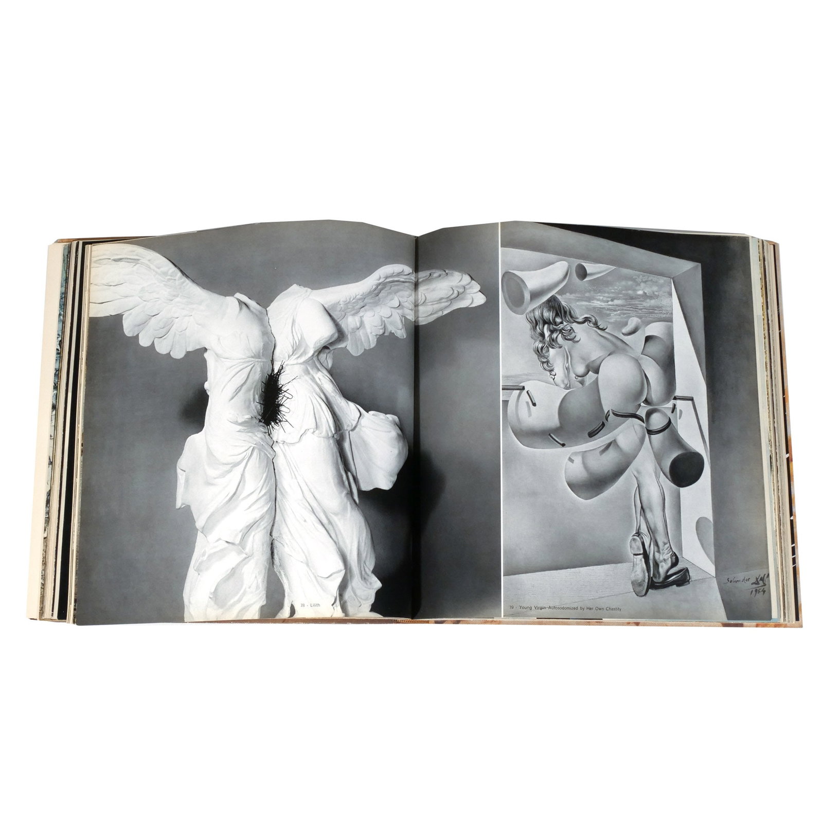 SIGNED & INSCRIBED DALI MONOGRAPH - 13