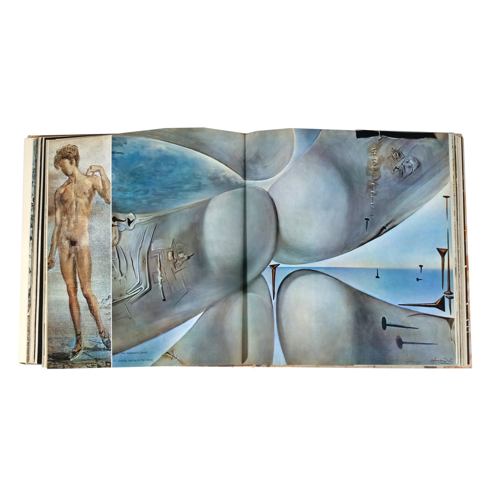 SIGNED & INSCRIBED DALI MONOGRAPH - 14