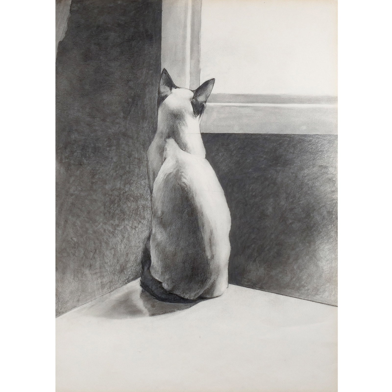 OLIVER JOHNSON (American, 1948-2021): 'Sam', 1977 Charcoal on paper h. 29-1/4 w. 21-1/2 in. Signed and dated lower middle, framed Provenance: Gallery Felicie, NYC; Descent through a prominent Manhattanite's estate