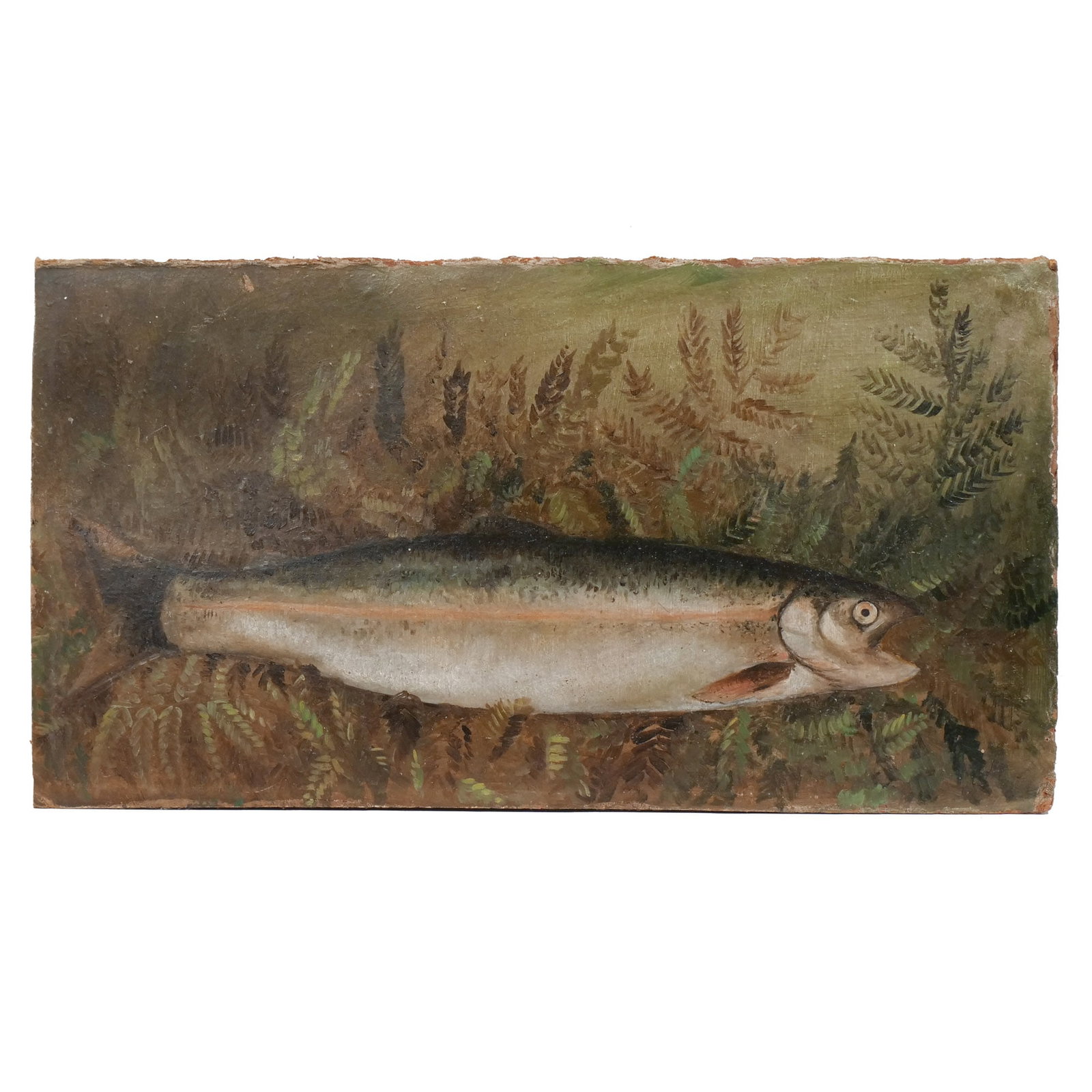 FOLK ART RAINBOW TROUT STILL-LIFE, 19th century: Rainbow trout in landscape Oil on board h. 8-1/4 w. 15-1/4 in. Trout shown in botanical setting, framed overall: 12 x 18-1/4 in. (framed) Provenance: Private collection, Bernardsville, NJ