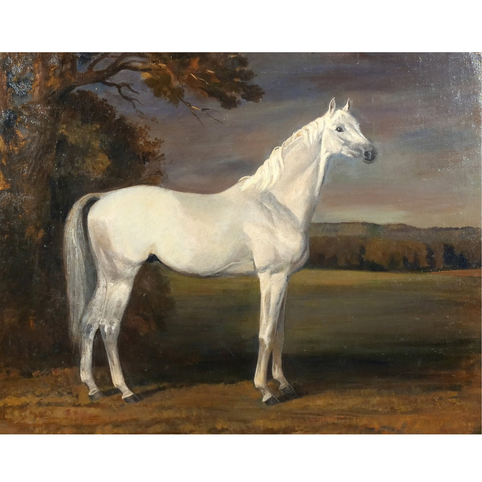 EUROPEAN SCHOOL, 19th century: White Horse Standing Four Square Oil on masonite h. 26 w. 33 in. No apparent signature, framed overall: 30-1/4 x 37 in. Provenance: Landmark Hoyt Homestead, Pound Ridge, NY [In Situ Item] This item