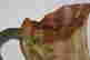 item-20117823=4