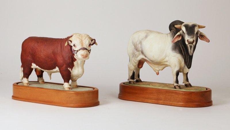 2 DORIS LINDNER FOR ROYAL WORCESTER PRIZE BULLS,: including a Hereford Bull, 1959, h. 7 ½" l. 10"; and a Brahman, 1968, h. 8 ¾"