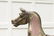 19th CENTURY CAROUSEL HORSE - 3