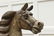 19th CENTURY CAROUSEL HORSE - 6