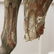 19th CENTURY CAROUSEL HORSE - 8