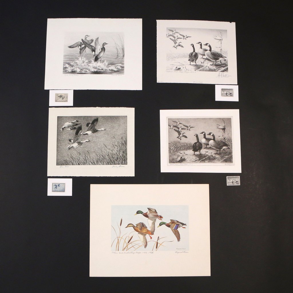 (5pc) FEDERAL DUCK STAMP PRINTS (1951-1959) (1 of 6)