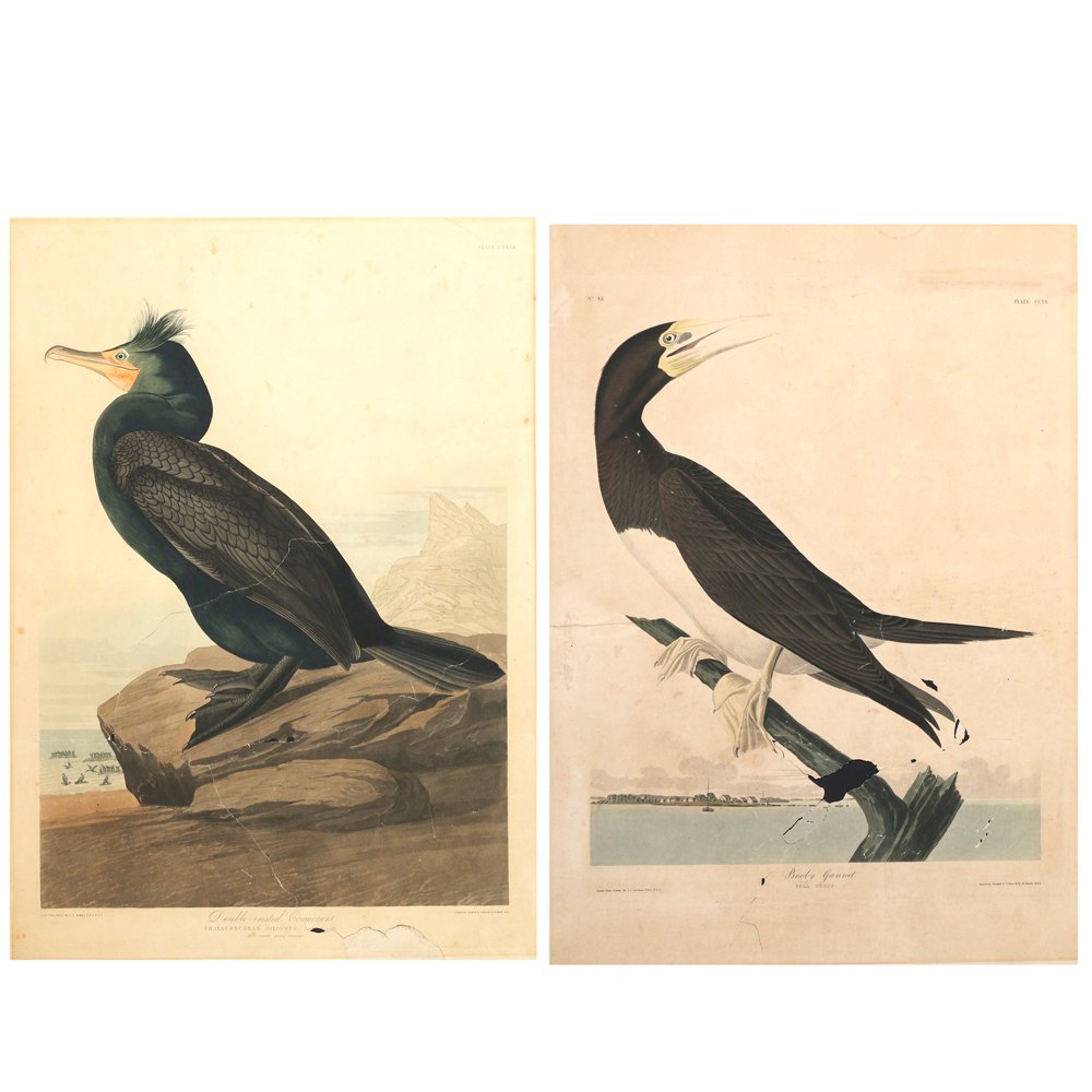 (2pc) JOHN JAMES AUDUBON (AMER., 1785-1851) (1 of 9)