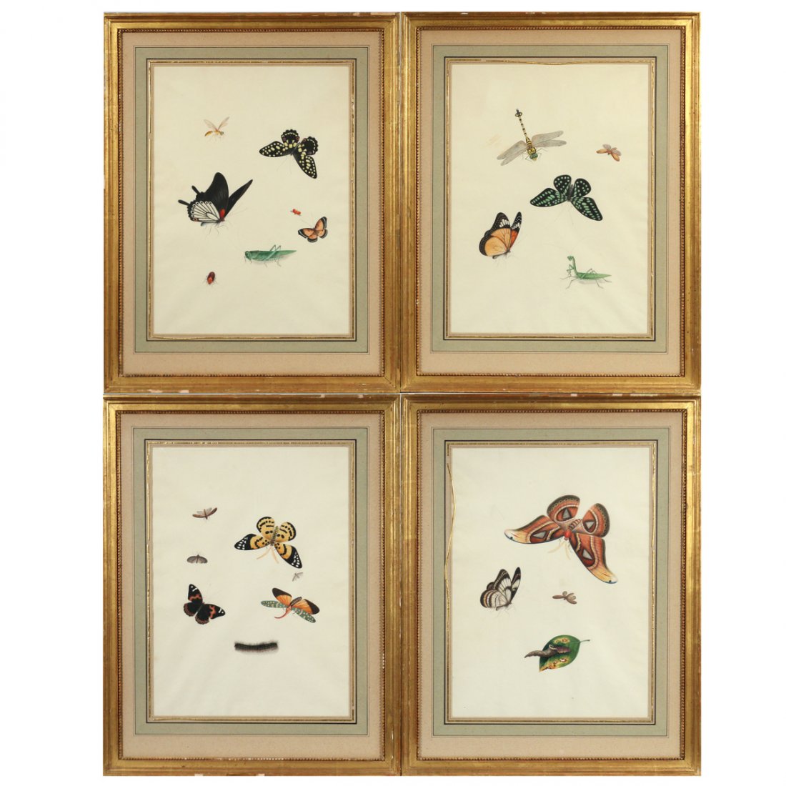 (4pc) BUTTERFLY & INSECT WATERCOLORS (1 of 6)