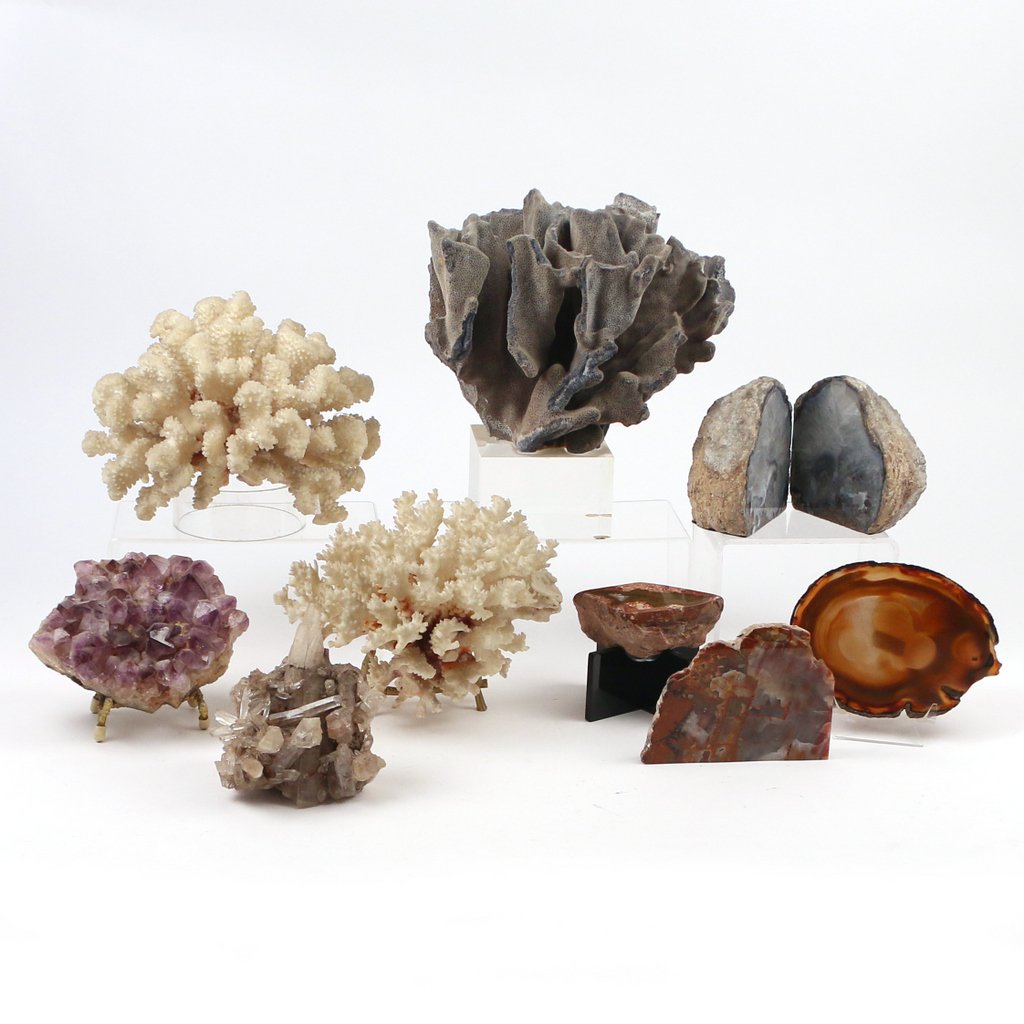 (10pc) GEODES AND CORAL (1 of 5)