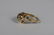 14K GOLD SAPPHIRE RUBY PANTHER HEAD RING - 5