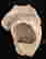 item-102108309=3
