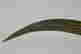 item-131705862=16