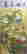 item-131705956=2