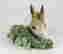item-131706020=2