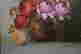 item-131706082=5