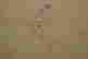 item-131706082=9