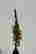 item-131706215=16