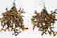 item-131706215=19
