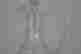 item-131706247=4