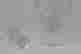 item-131706247=8