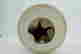item-131706273=19