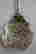 item-50094181=8