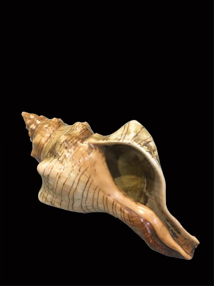 CHINSE PORCELAIN CONCH TABLE ITEM (1 of 5)