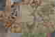 item-73273324=6