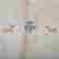 item-51177119=2
