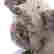item-51177263=5