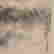 item-51177439=3