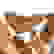 item-52631154=5