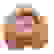 item-53666036=3