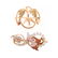 Four Lady's Victorian Brooches in Gold - 2