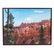 Sara Abel DeLuca. "Bryce Canyon, Utah," oil