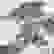 item-55246224=3