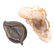 Chinese carved hardstone scholar's water dipper - 4