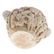 Greco-Roman carved marble wine vessel - 5