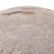 Whiting Art Deco sterling oyster platter - 2