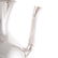 Victorian silver coffee pot - 5