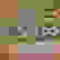 item-64167585=2