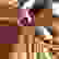item-66113451=4