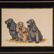 Jean Bowman. "Betty and Her Pups Roby and Kitty" - 2