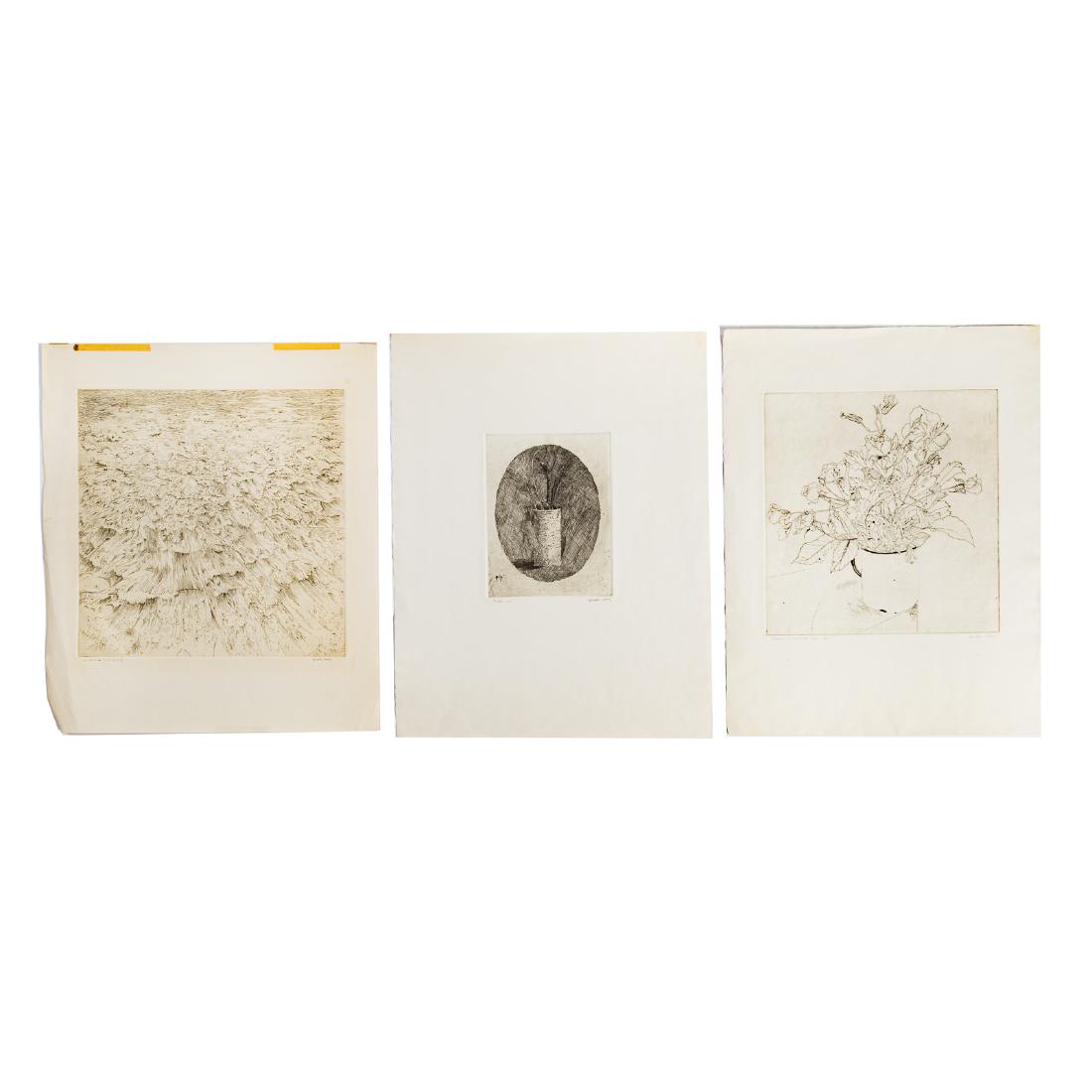 Gordon Cook. Three unframed etchings: (American, 1927-1985). 1.) "Twigs," artist proof, pencil signed lr, plate size: 9 x 6 1/2 in. 2.) "Flowers in Enamel Cup," artist proof, pencil signed lr, 13 1/2 x 12 3/4 in. 3.) "Headland IV," pencil