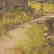 Lazlo Neogrady. Autumnal Landscape, Oil on Canvas - 3
