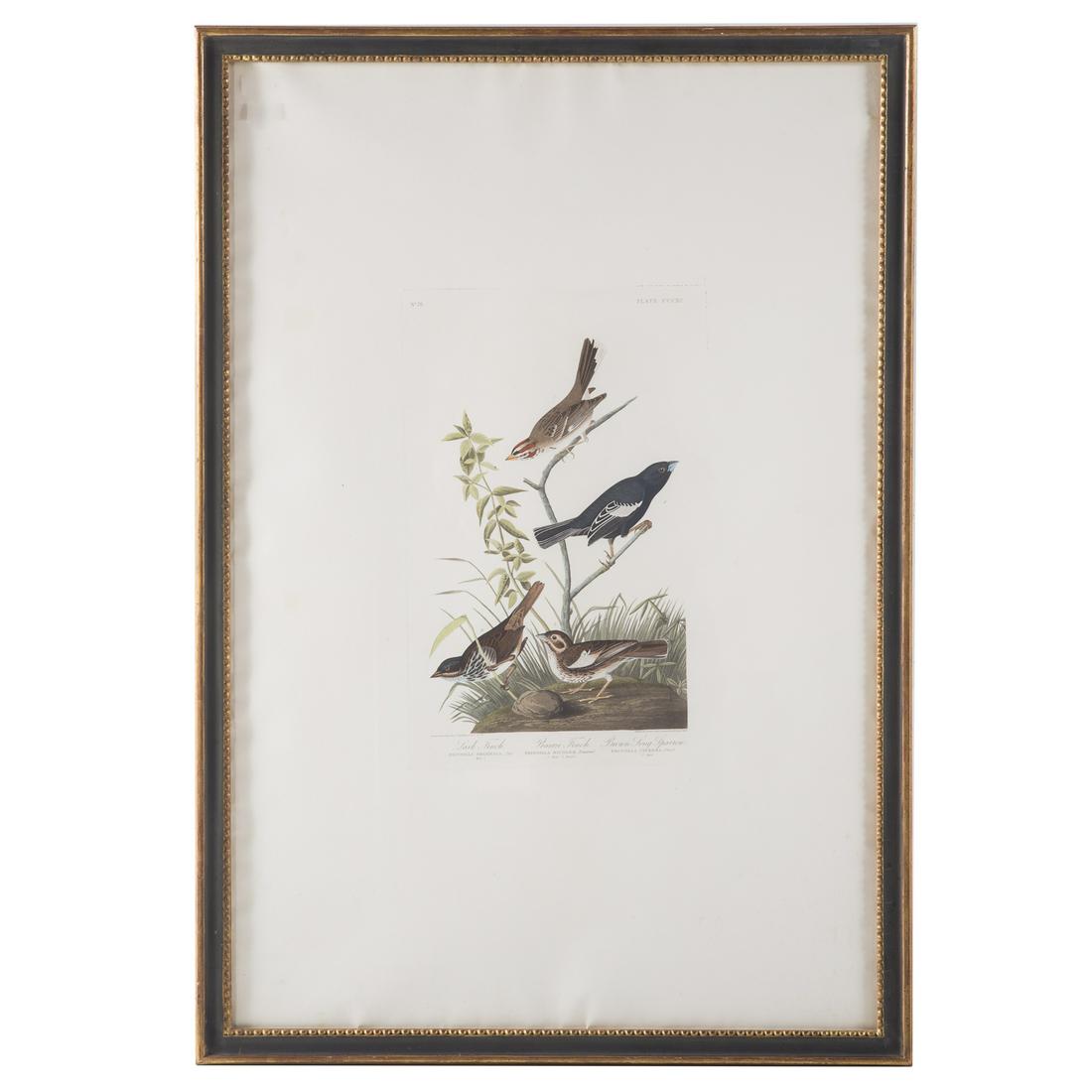 John J. Audubon. "Lark Finch, Prairie Finch...": John James Audubon (American, 1785-1851). 1837, "Lark Finch, Prairie Finch, Brown Song Sparrow", Pl. CCCXC, No. 78, hand colored engraving, etching and aquatint, Havell edition by J. Whatman, plate si