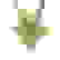item-75283649=6