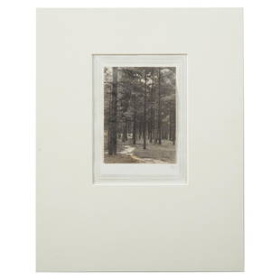 Frederick Evans "Stand of Trees": Frederick Henry Evans (American, 1853-1943). Platinum print, 1893, initialed "F.H.E." lr, 5 1/8 x 3 3/4 in., unframedHans P. Kraus Jr., Fine Photographs, New York label on inside of mat